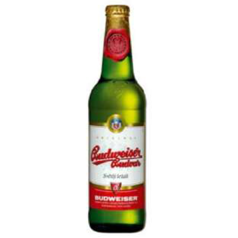 Budvar 50cl bottles