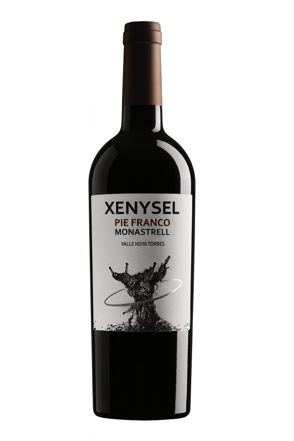 Xenysel Pie Franco